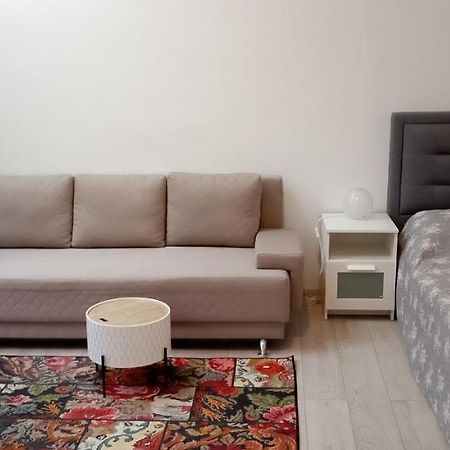 Ferienwohnung Piata Muzeului 1 Cluj-Napoca Exterior foto
