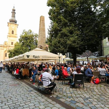 Ferienwohnung Piata Muzeului 1 Cluj-Napoca Exterior foto