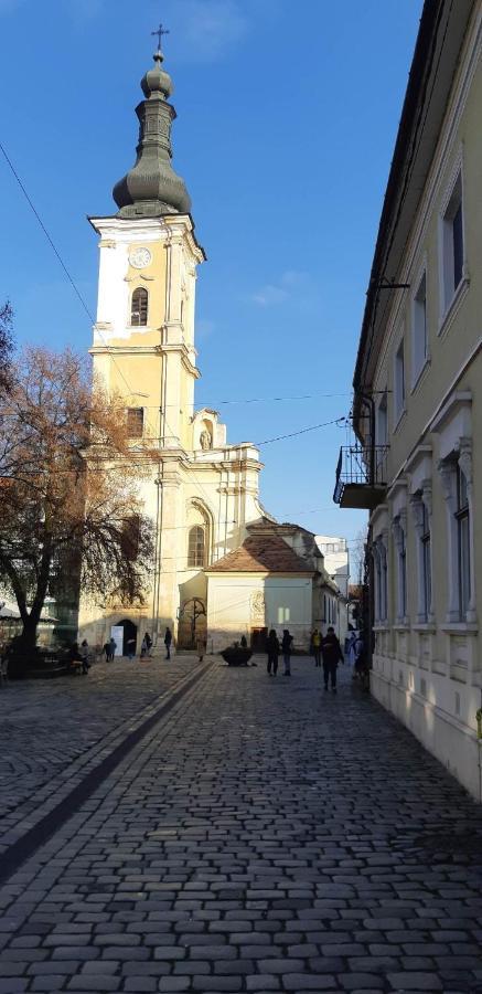 Ferienwohnung Piata Muzeului 1 Cluj-Napoca Exterior foto